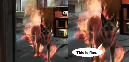 burningdogmeat