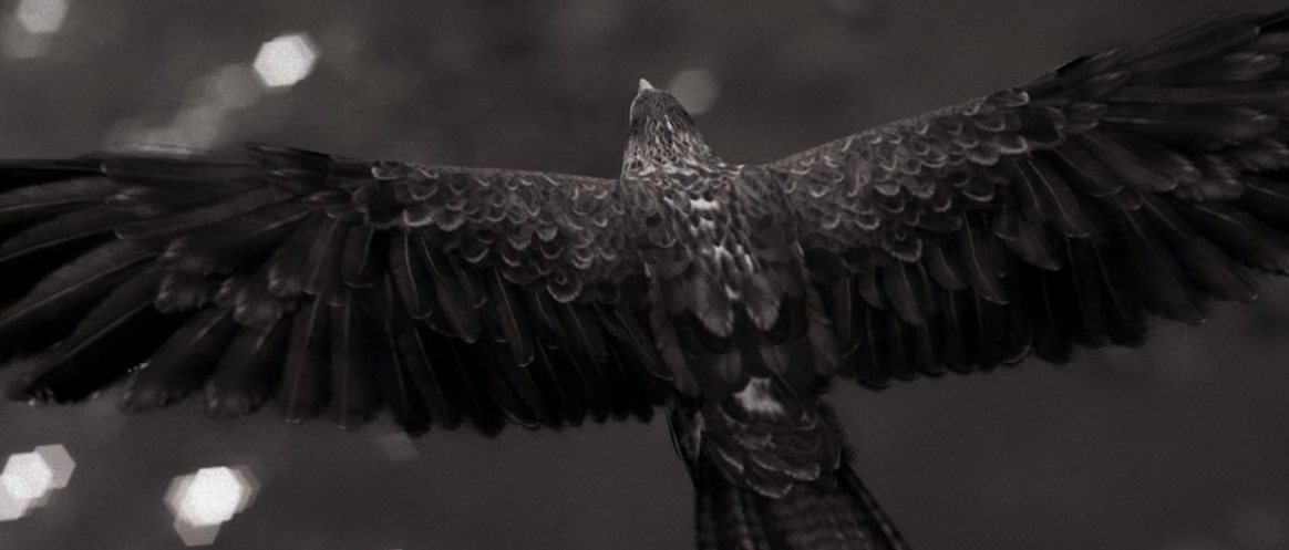 -5a281c50ccd8c--5a281c50ccdfbScreenshot-2017-12-6 Assassin's Creed Origins on Xbox One, PS4, PC Ubisoft (US).png