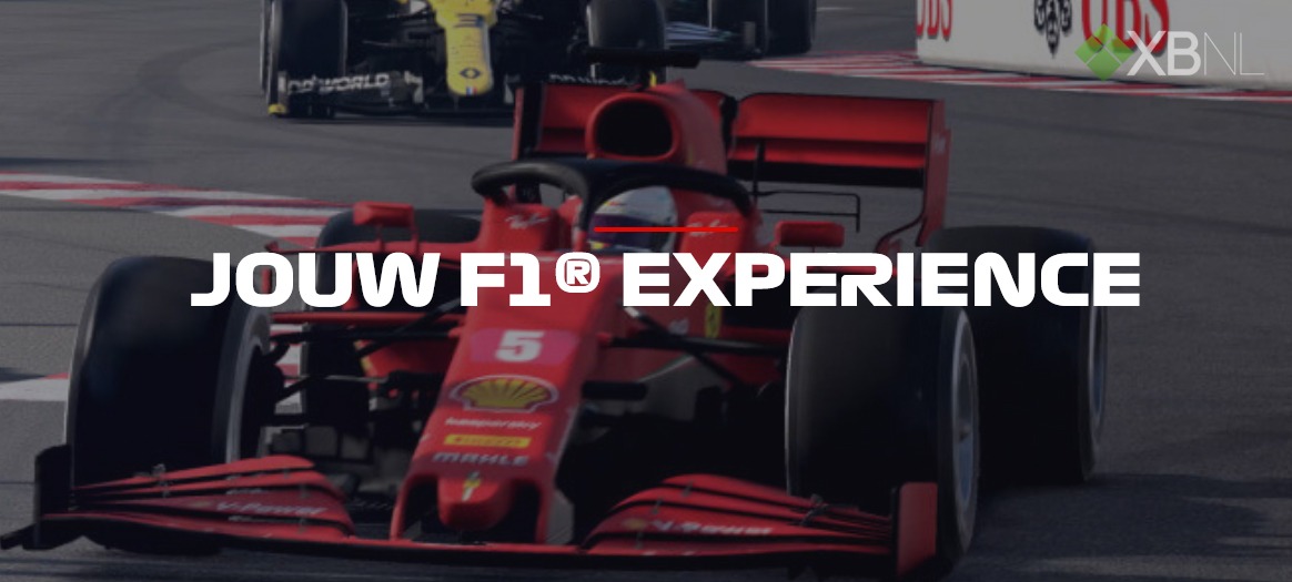 the official f1 racing centre