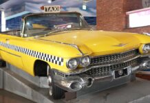 Crazy Taxi reboot krijgt ‘grootse, open wereld multiplayer’, zegt SEGA